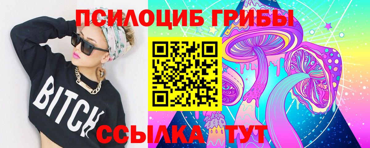 Ахтубинск  Псилоцибиновые грибы Cubensis  Вход с VPN 